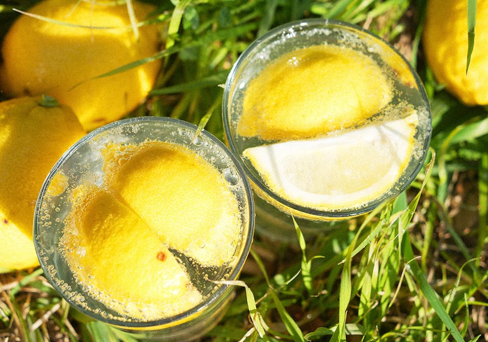 暮らしに寄り添う柑橘の楽しみ方