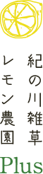 紀の川雑草レモン農園Plus｜和歌山県産・無農薬の自然栽培レモン農園